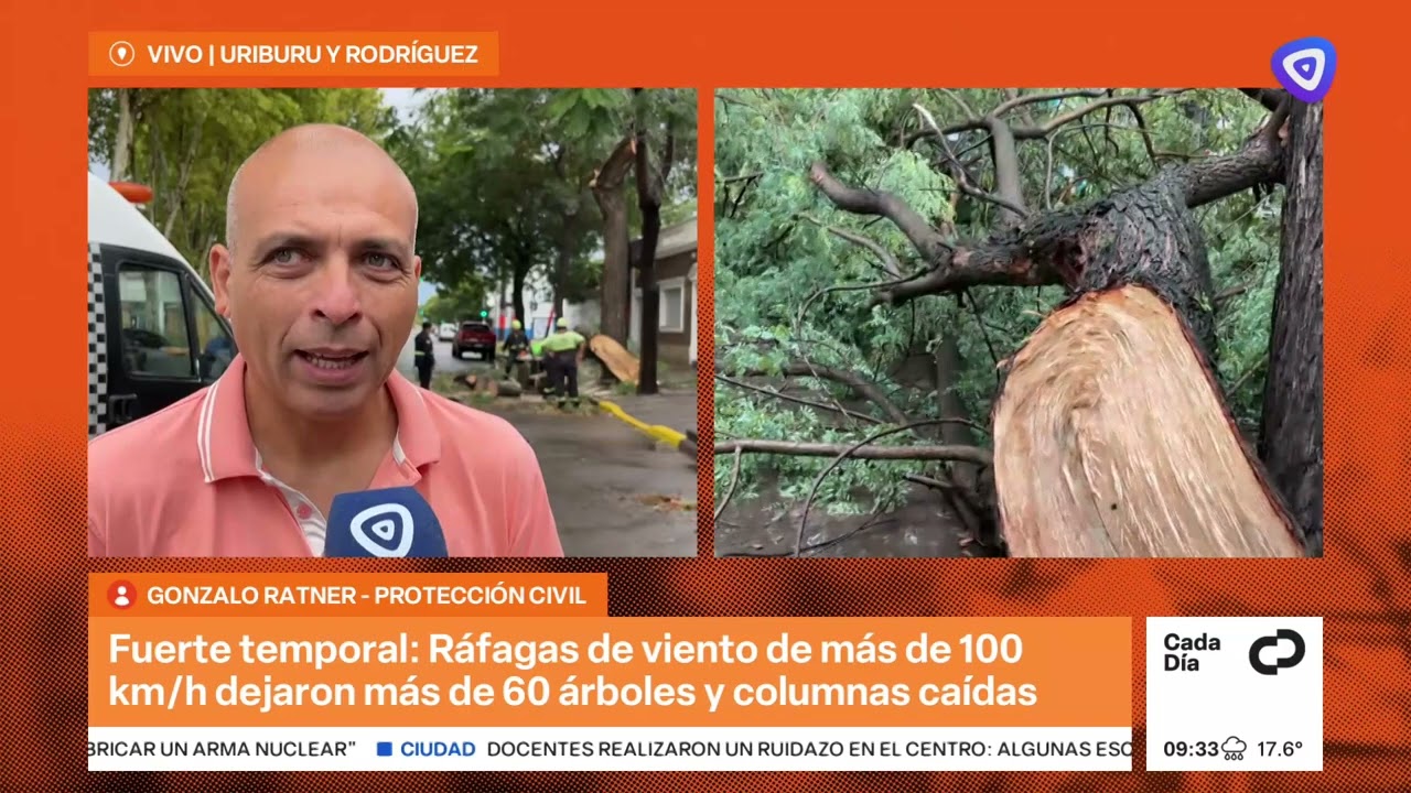 Ráfagas de viento de más de 100 km/h y 60 reclamos por árboles y columnas caídas