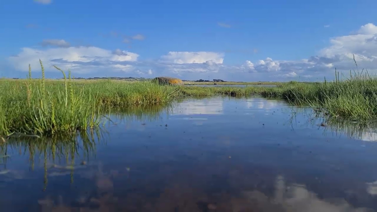 Kal&oslash; Slotsruin