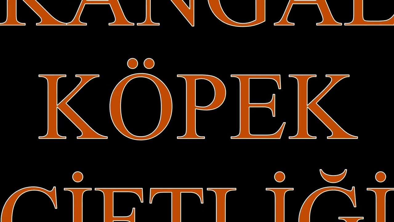 BÖLÜM 1 - DOĞU ANADOLU TURU - SİVAS-DİVRİĞİ ULU CAMİİ-KANGAL KÖPEK ÇİFTLİĞİ