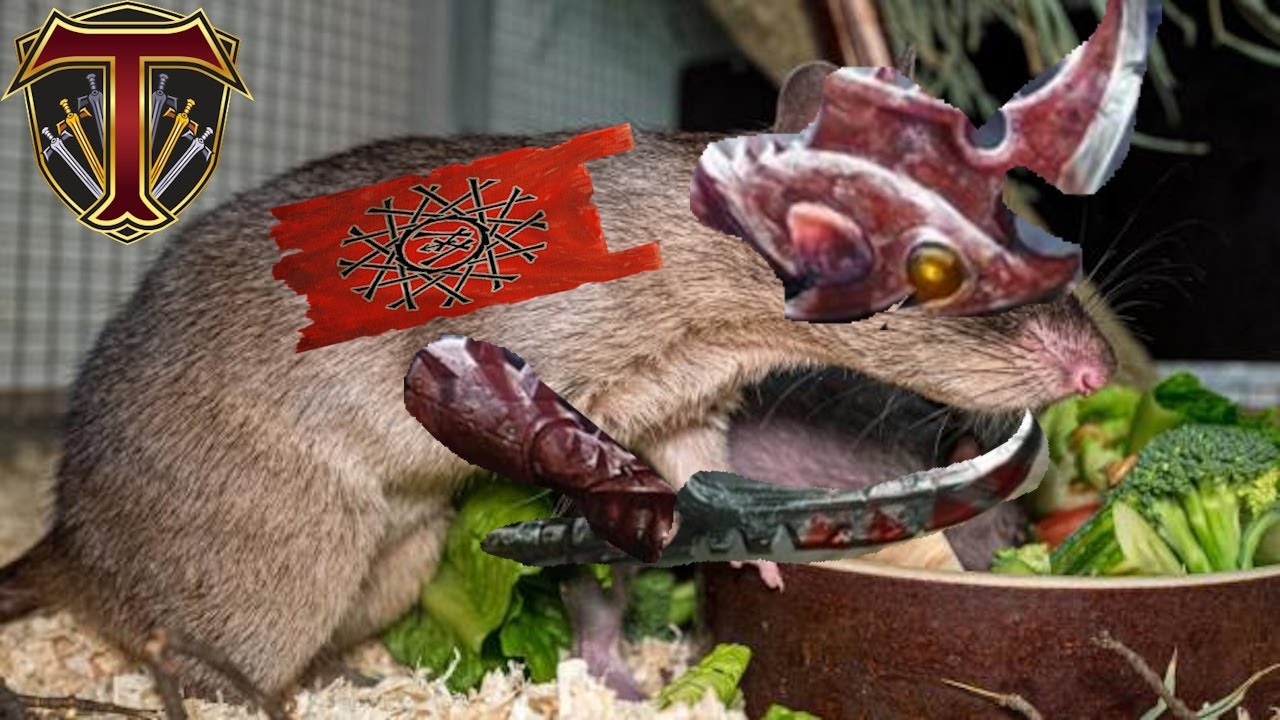 RISE Stormvermin, RISE! Skaven vs Empire - Total War Warhammer 3