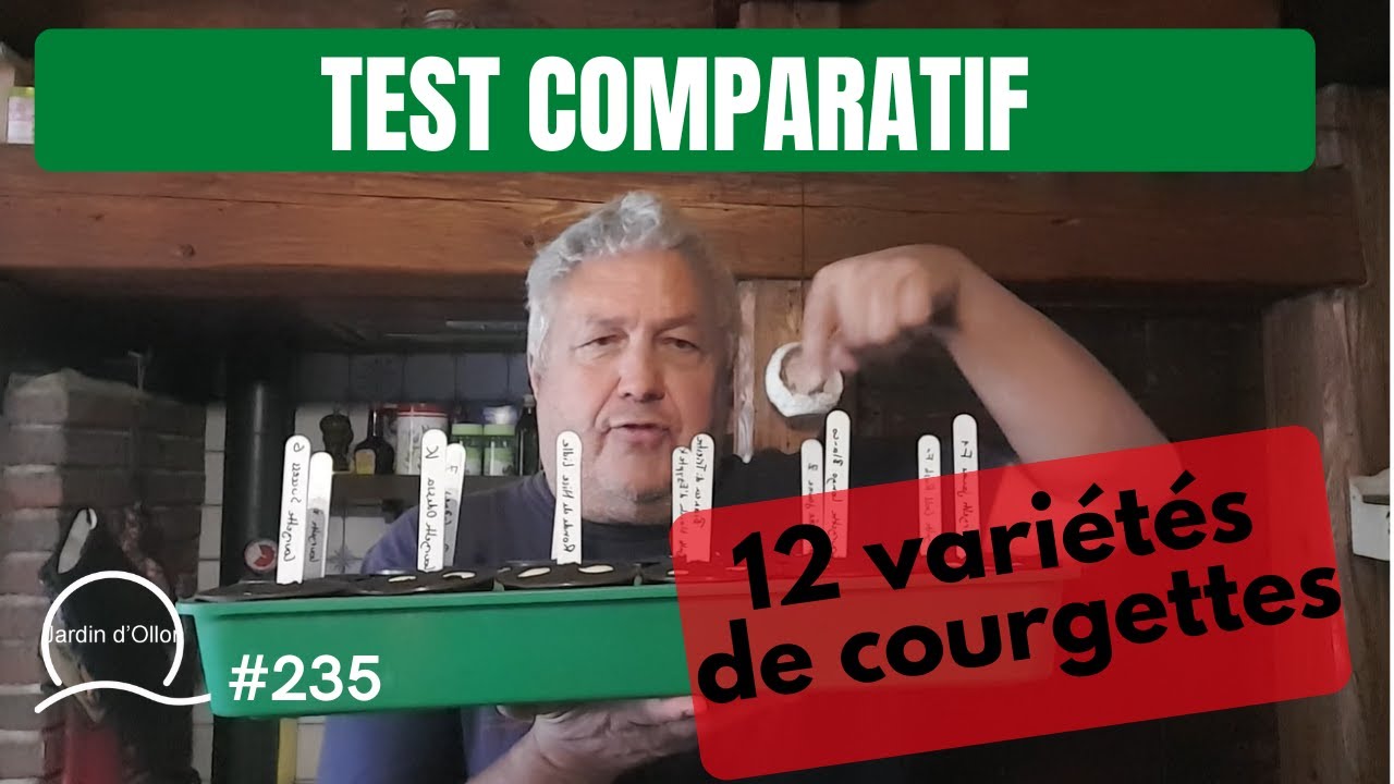 #235-Test comparatif de 12 vari&eacute;t&eacute;s de courgettes