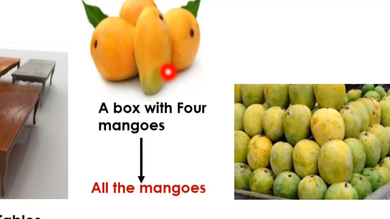 Textile Sampling: Fibre Sampling Part 1