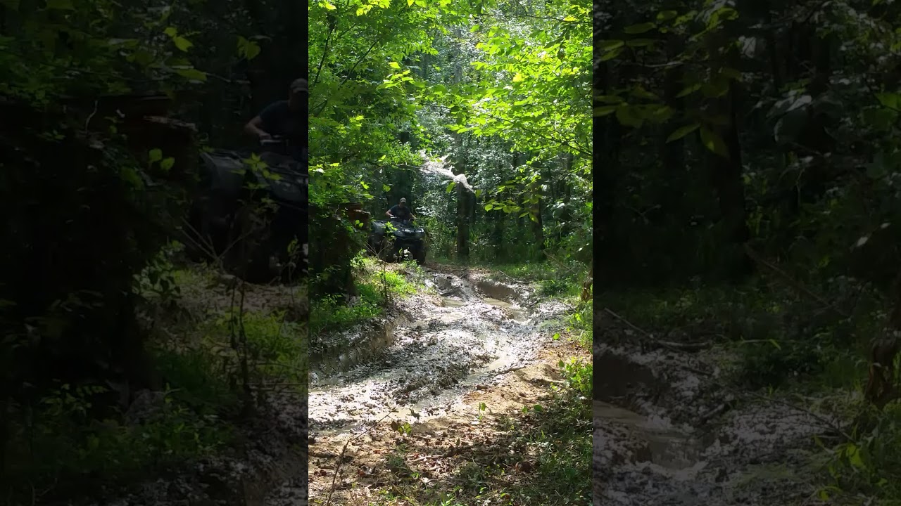 Getting my king quad stuck with 27in mega mayhems!