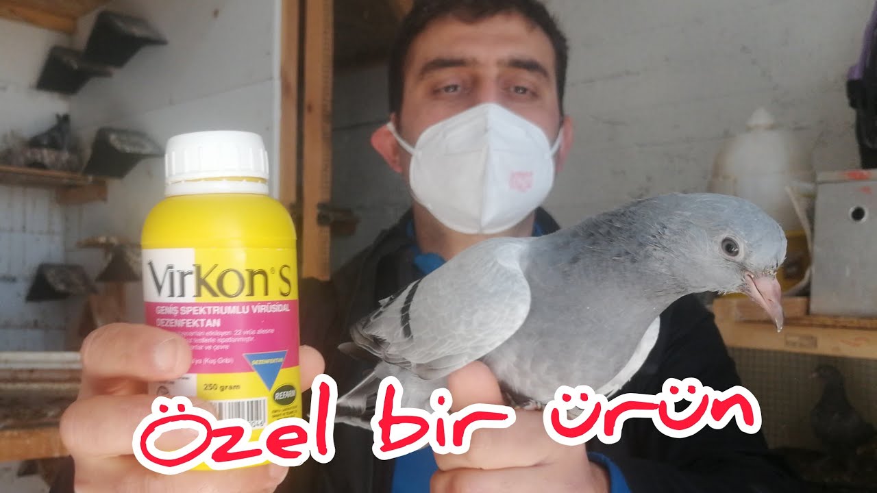 Virkon's Nasıl Kullanılır?Müthiş Etkili, Kümes ve Güvercin Bakımı.
