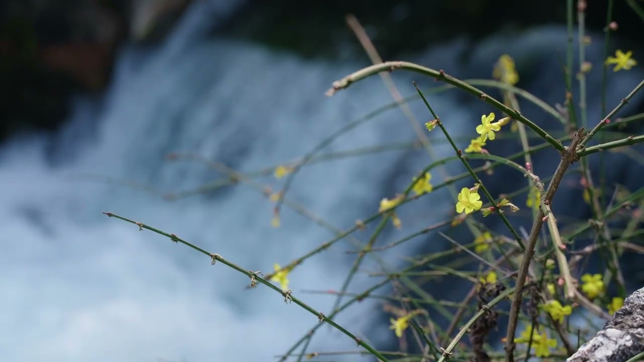 Relaxing Piano Music, Meditation Music