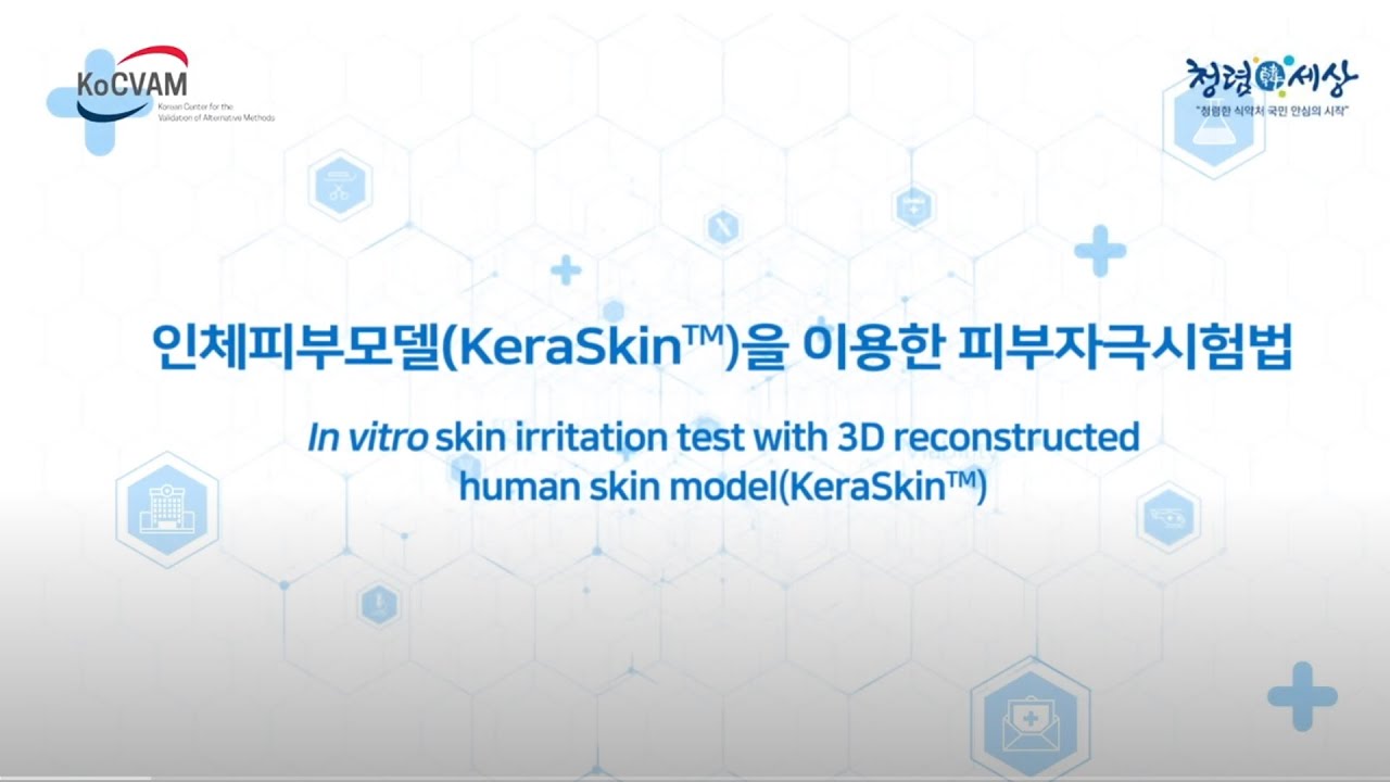 [동물대체시험법] 인체 피부모델(KeraSkinTM)을 이용한 피부자극 시험법