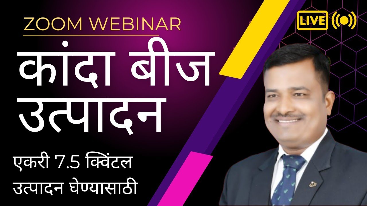 एकरी साडेसात क्विंटल कांदा बीज उत्पादन घेण्यासाठी संपूर्ण मार्गदर्शन ll 