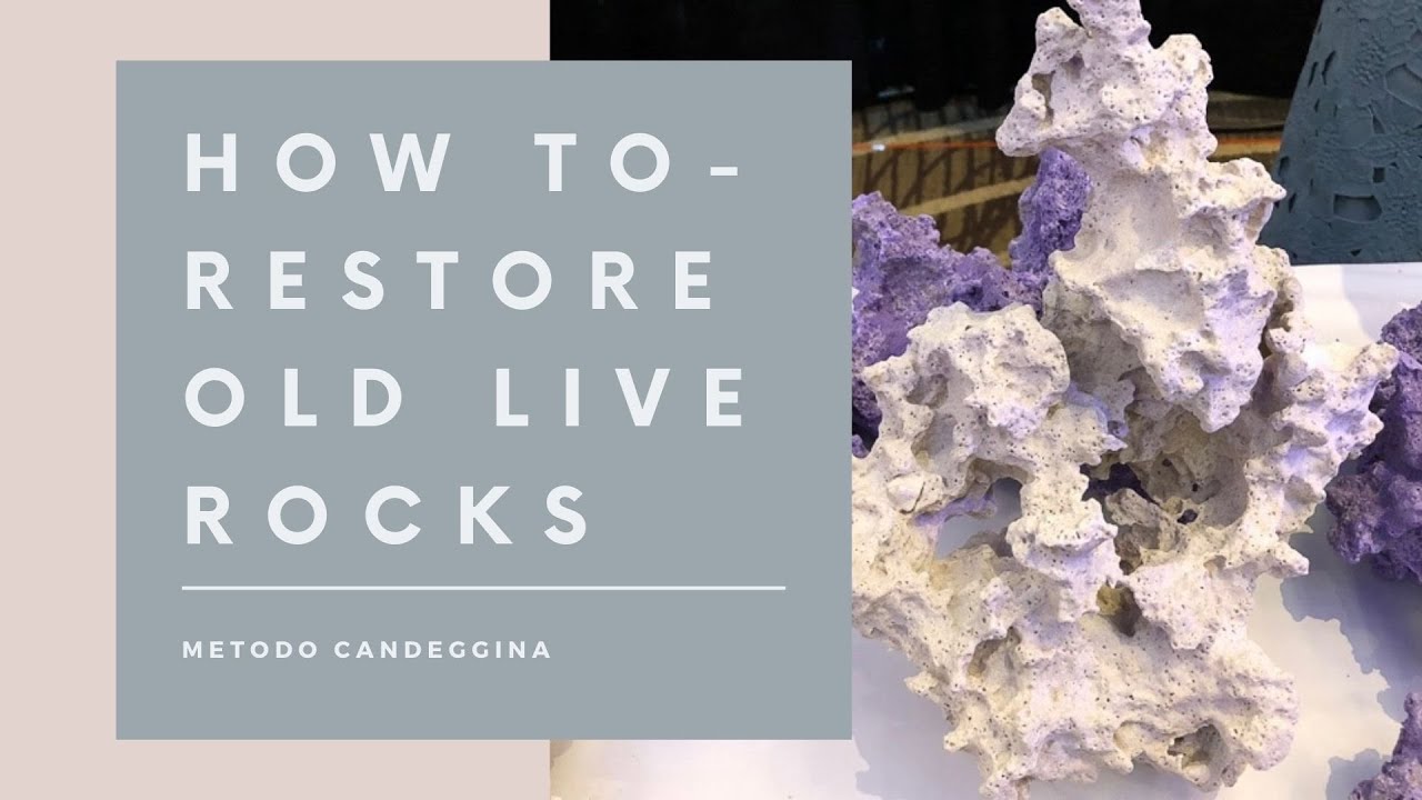 How to • Restore live rocks • Restaurare rocce vive • SUB ita/eng
