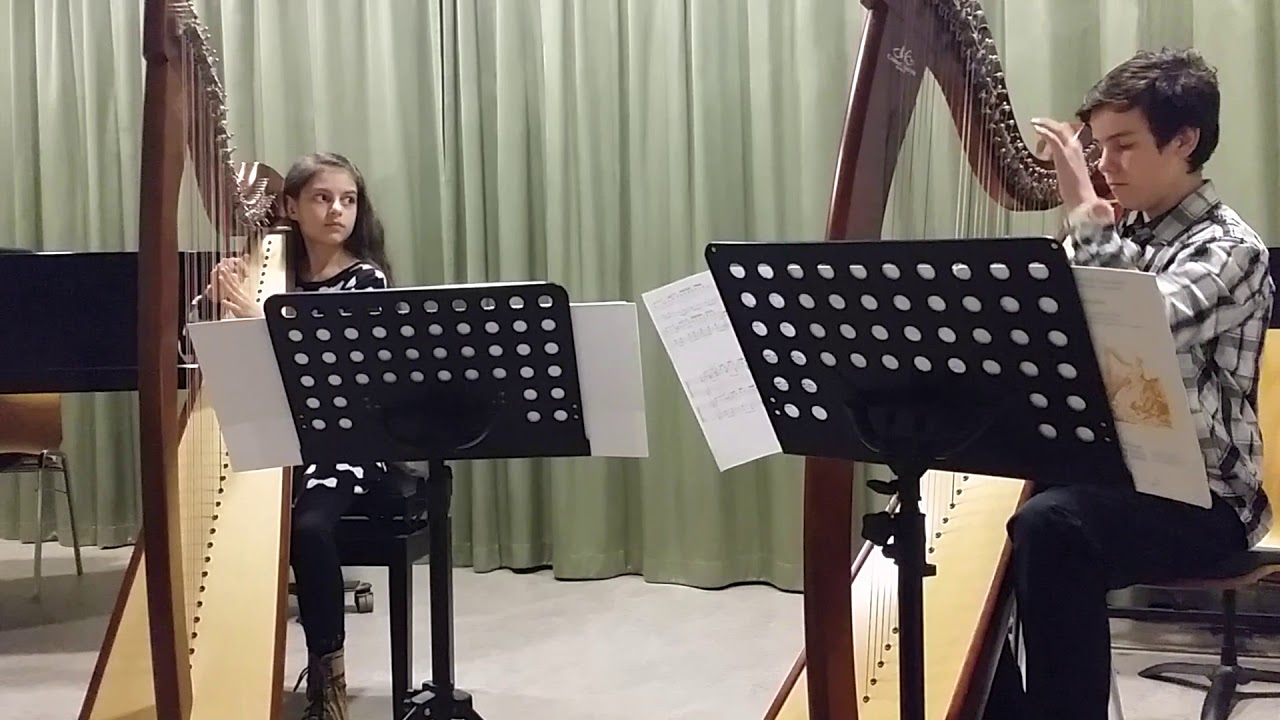 Vivaldi andante e-moll harp duo