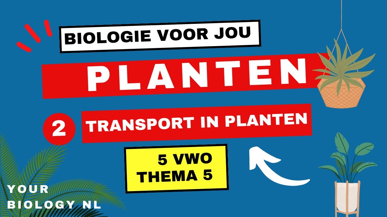 5 vwo | Planten | 2 | Transport in planten