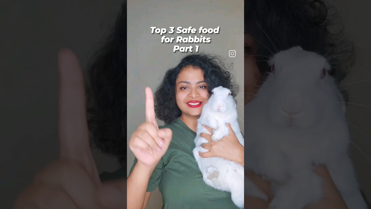 Top 3 safe food for rabbit #dietforrabbit #rabbitdiet #rabbitcare #pet #bunny #rabbithealth #petcare