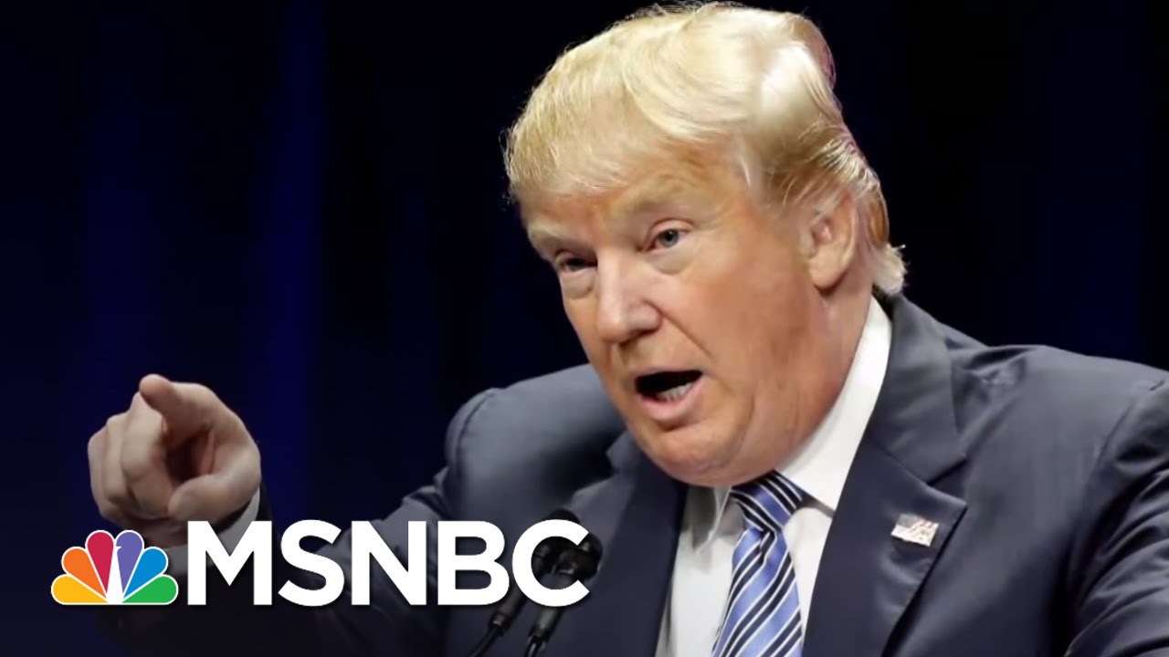 Donald Trump Denies Mocking New York Times Reporter | MSNBC