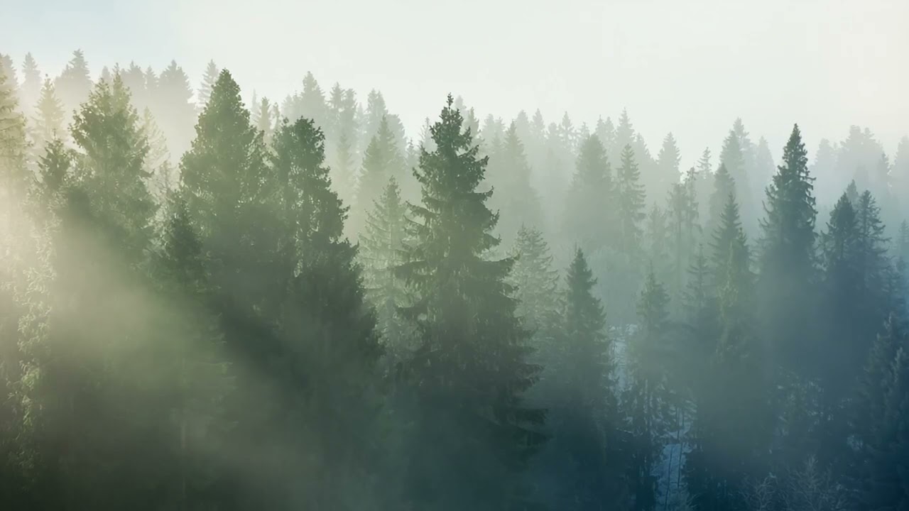 Grieg - Piano Concerto in A Minor, Op. 16: II. Adagio