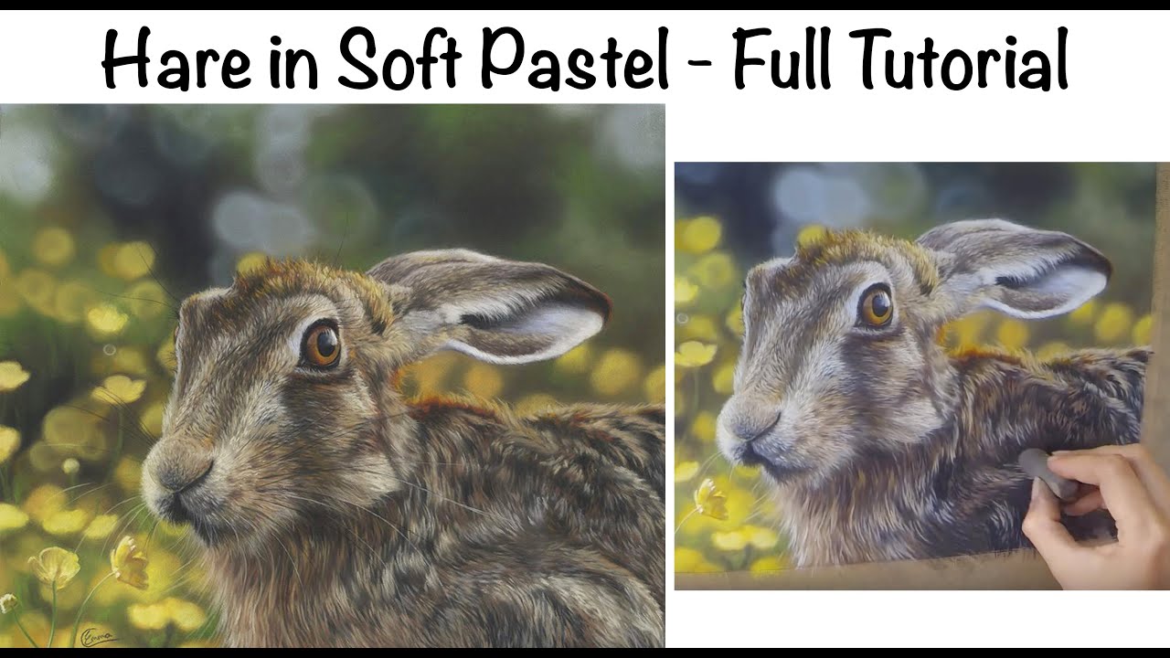 Painting a Hare on Pastelmat in Soft Pastel - Full Narrated Tutorial