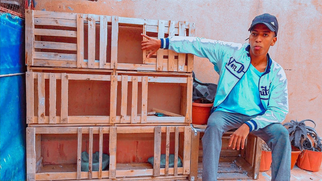 طريقة صنع خانات تفريخ الحمام بالأبواب 🔥