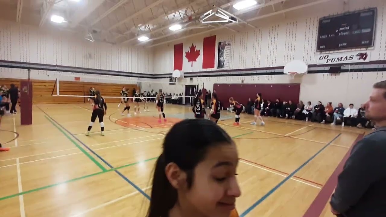 Surge vs Dinos set1