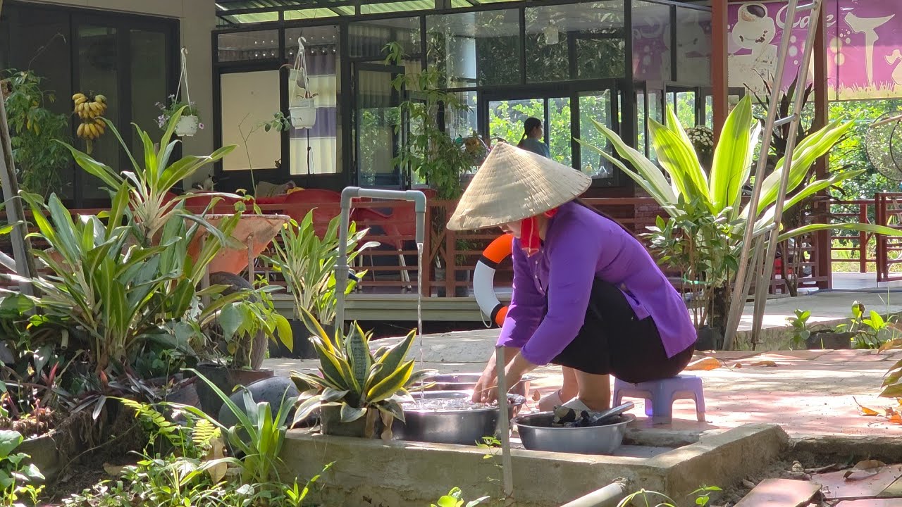 CƠM QUÊ MẸ NẤU NGÀY GIÁP TẾT TRỒNG THÊM RAU CẢI MƯỚP ĂN TẾT VỊ QUÊ MIỀN TÂY
