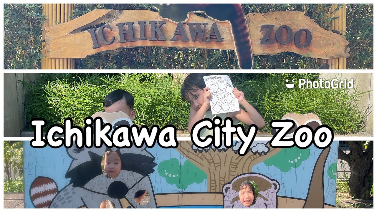 Ichikawa City Zoo 🐒