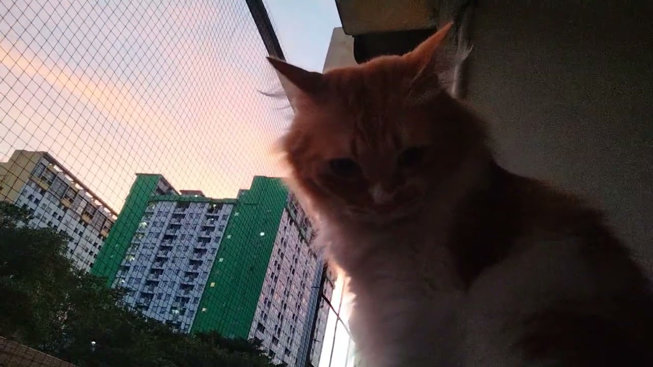 Enjoy langit pagi... 
