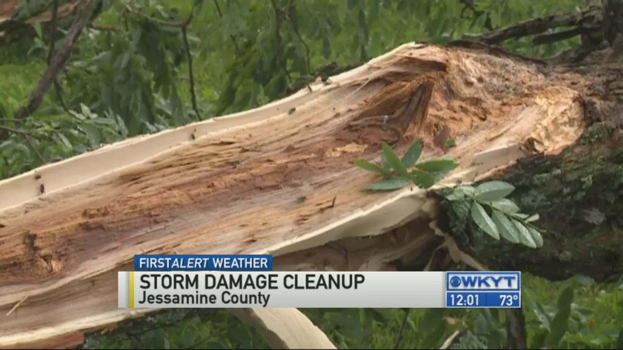 Jessamine EMA: Several trees down, power outages and damaged crops