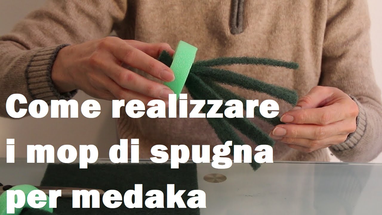 Come realizzare i mop di spugna per medaka