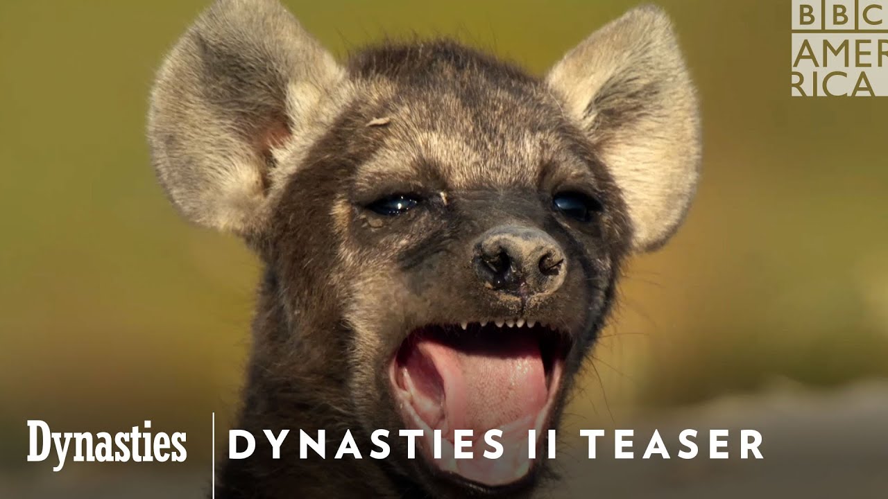 Dynasties II Teaser Trailer | Saturdays on BBC America