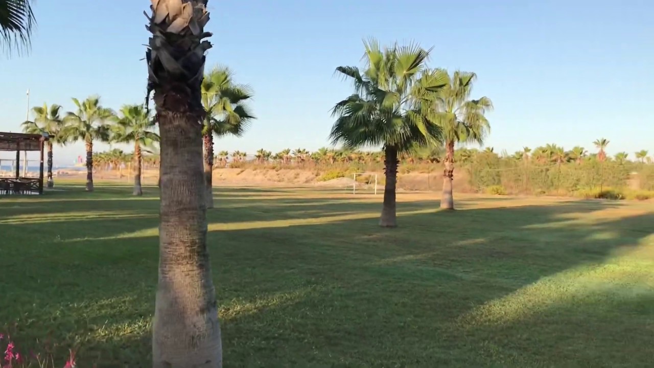 Euphoria Palm Beach Resort