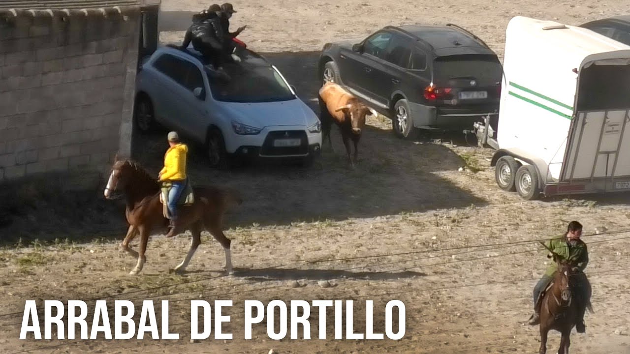 Arrabal de Portillo 2024 Se Escapan Los Toros y Entran en el Pueblo.