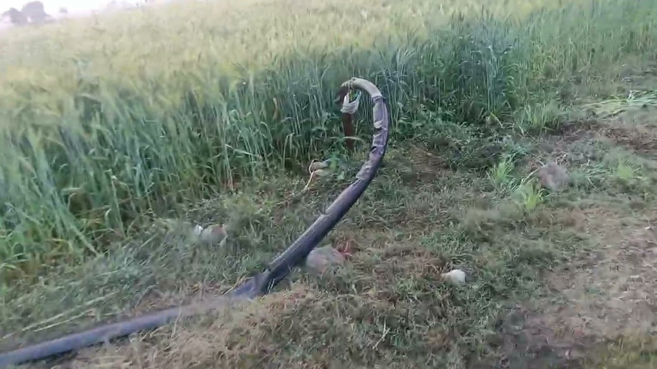 आज का माहौल काफी सुकून देने वाला 🤩😊