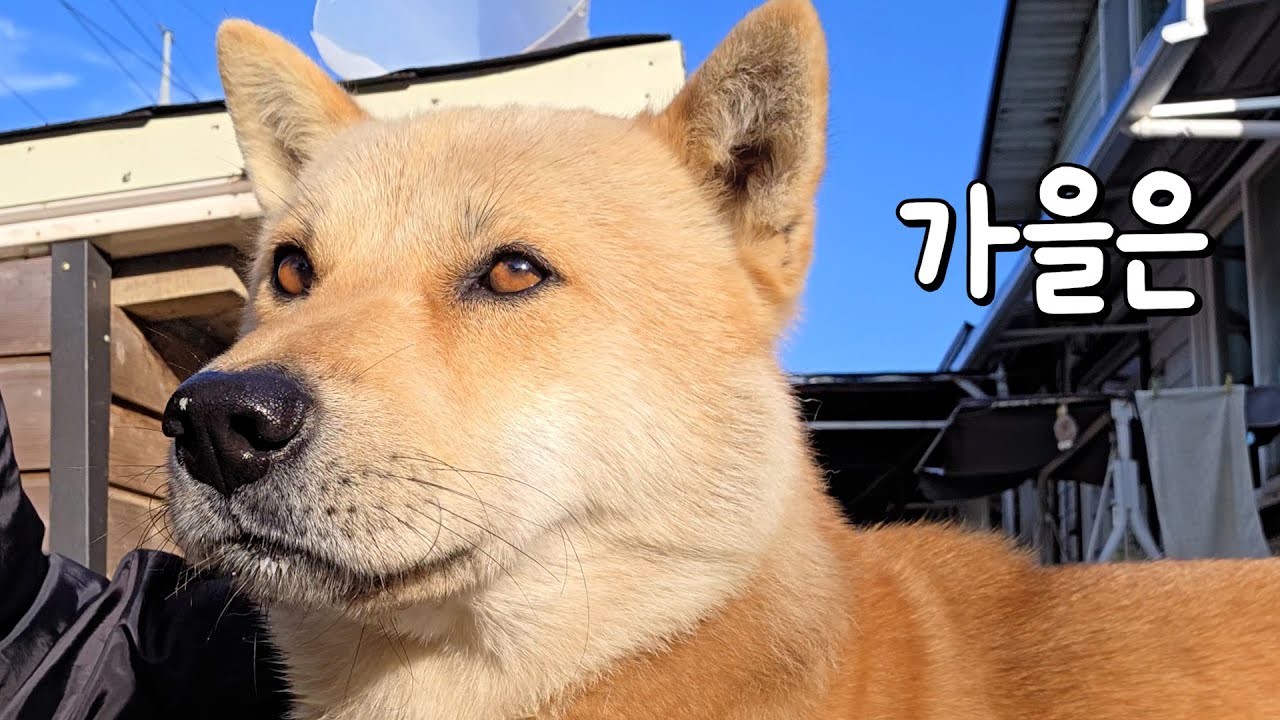 여러분들은 모르시죠