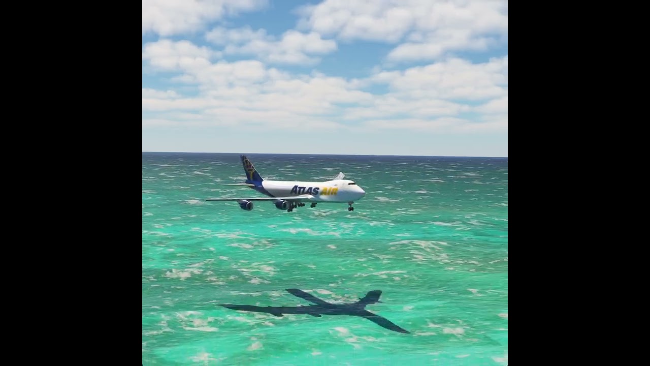 the pilot's actions endangered the plane's passengers EP288