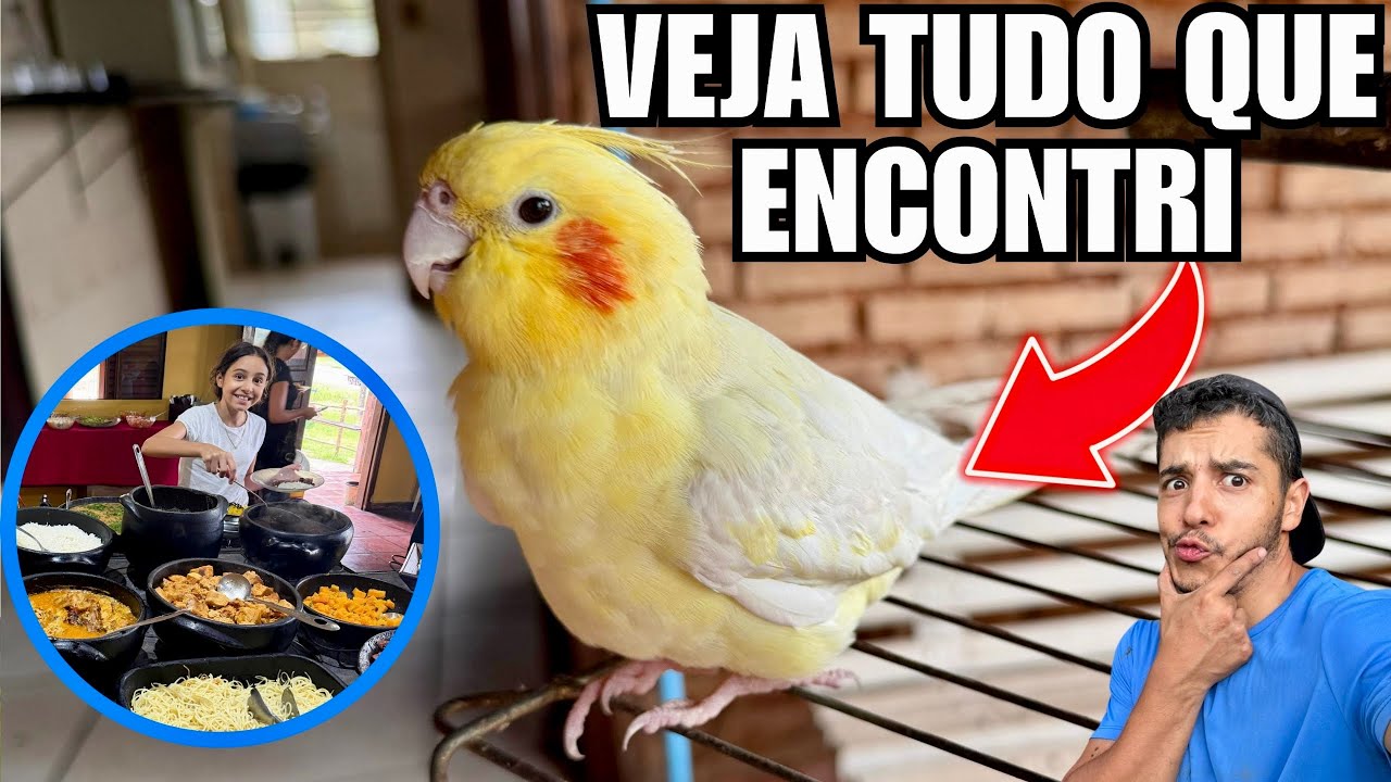Veja TUDO que encontramos quando voltei de MINAS GERAIS | Aves Recriar
