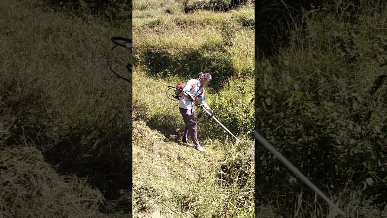 Grass Cutter #villagerlifestyle #shortsviral #viral #phadilifestyle