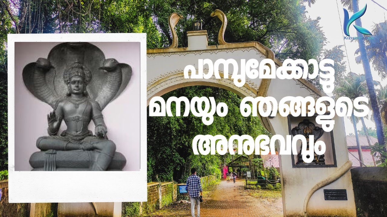 Pambumekkattu Mana |Mala|Thrissur | പാമ്പുമേക്കാട്ടു മന |മാള|തൃശൂർ | ഞങ്ങളുടെ അനുഭവം | പ്രത്യേകതകൾ