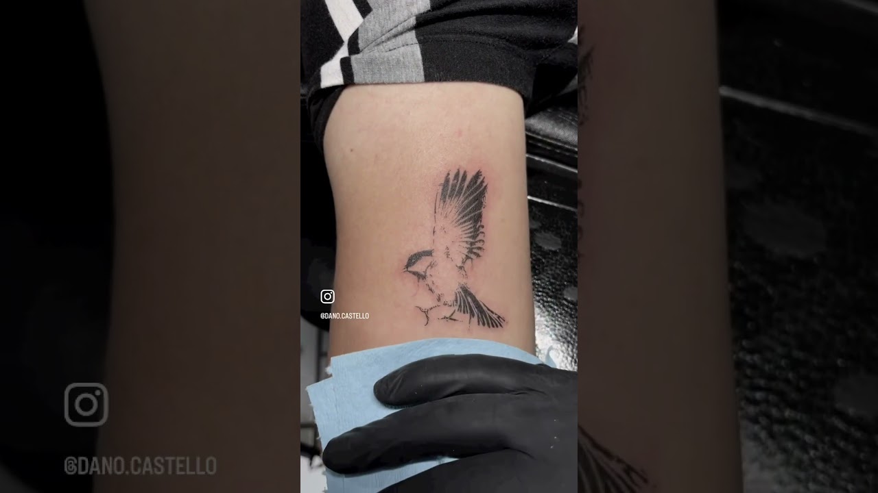 Proceso de tatuaje | pajarito