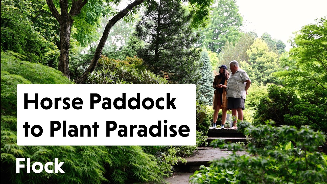 He Turned This HORSE PADDOCK to a PLANT PARADISE: O'Brien Nursery — Ep. 319