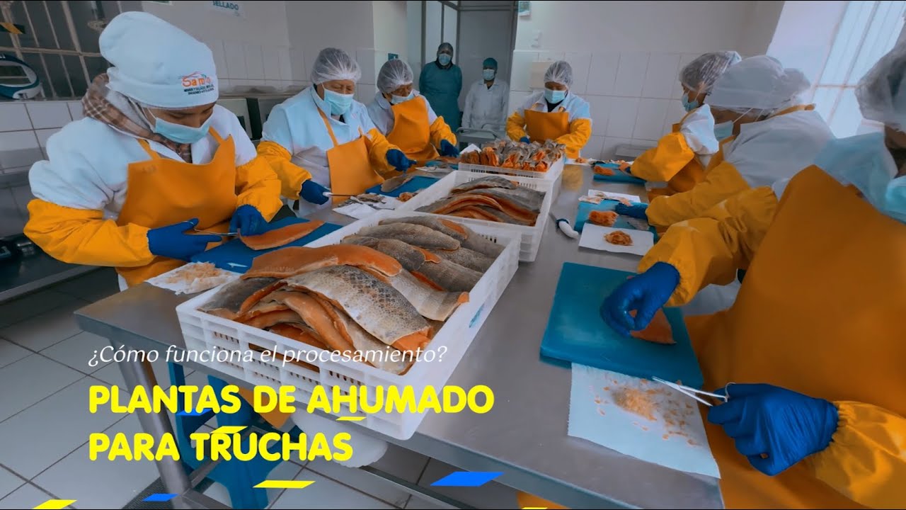 ¿Cómo funcionan las plantas de ahumado de truchas?