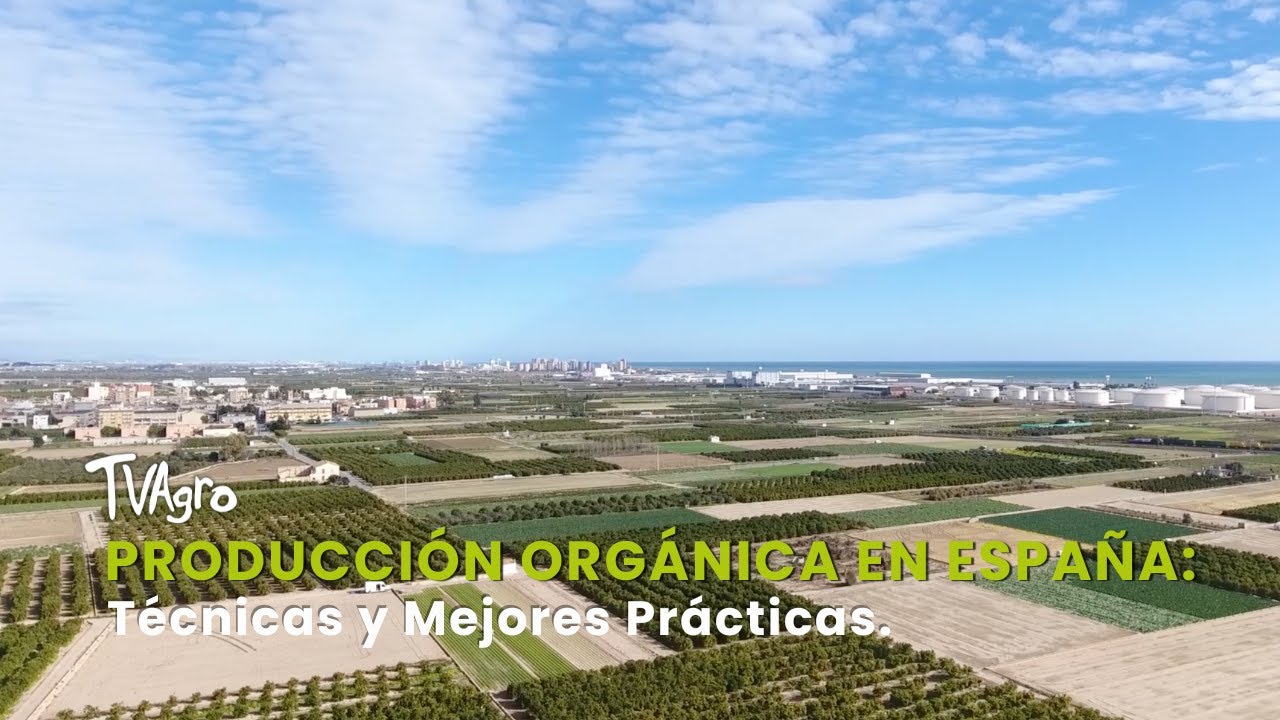 Producción Orgánica en Valencia, España: Mejores Prácticas - TvAgro por Juan Gonzalo Angel Restrepo