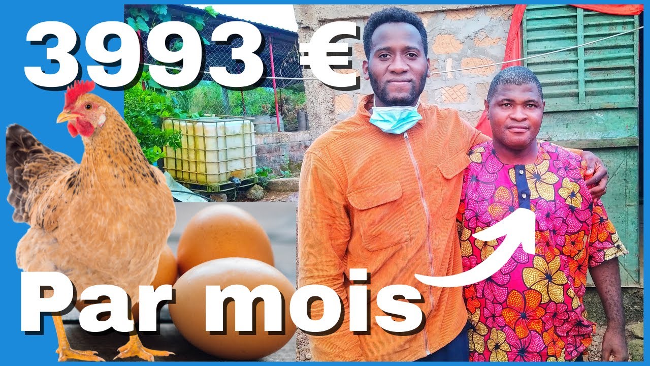 🐔Visite de la ferme AVICOLE de Réné à FRIA  | Investir en Guinée