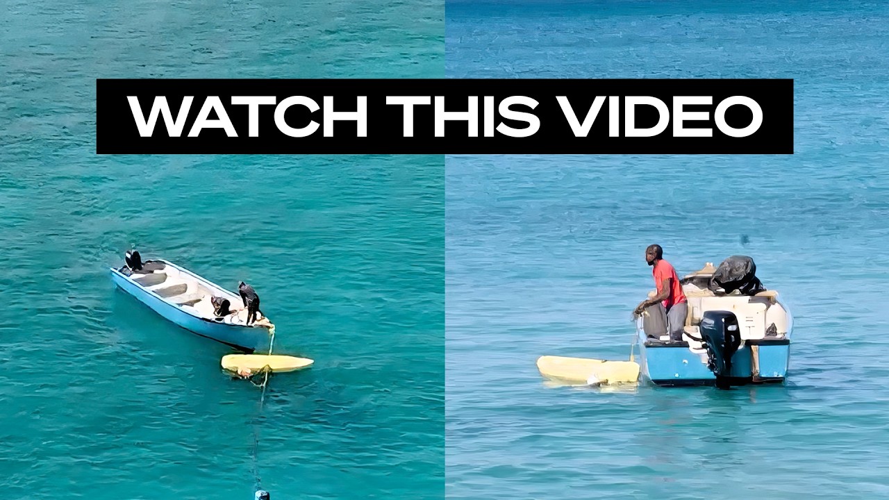 What Happened To The Flying Fish In Barbados?