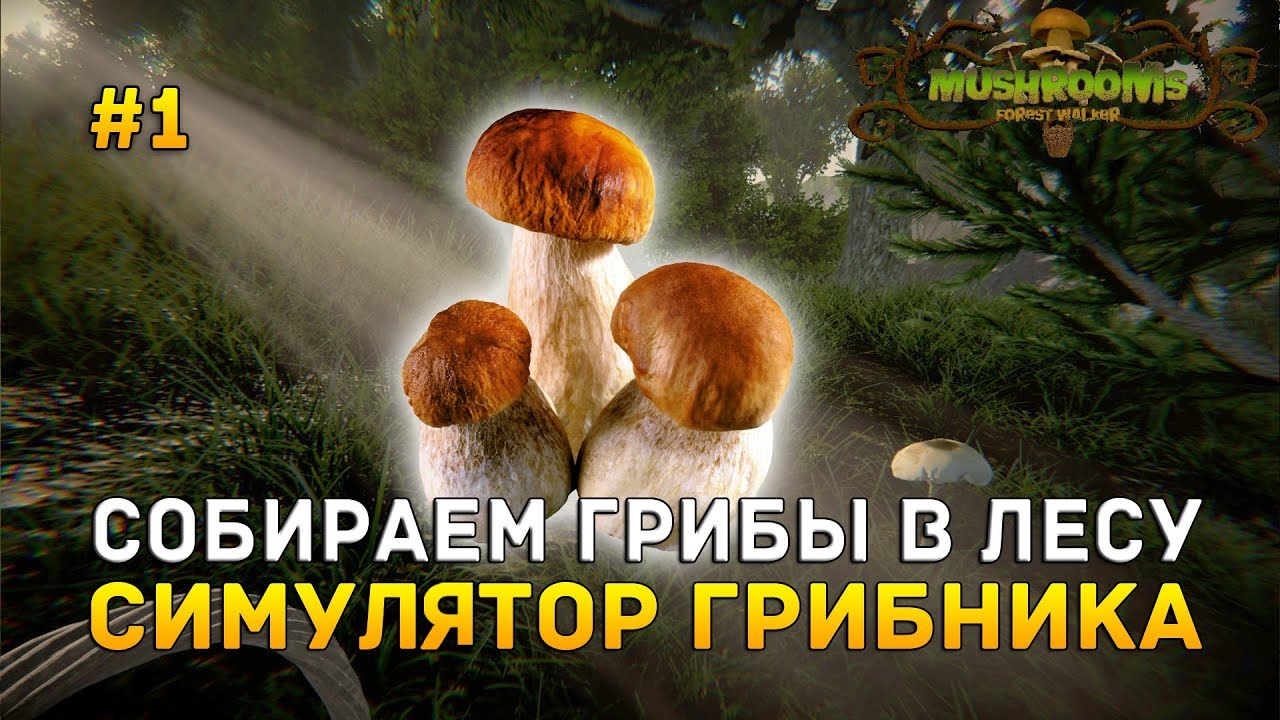 Mushrooms: Forest Walker #1 - Собираем грибы в лесу. Симулятор грибника (Первый Взгляд)