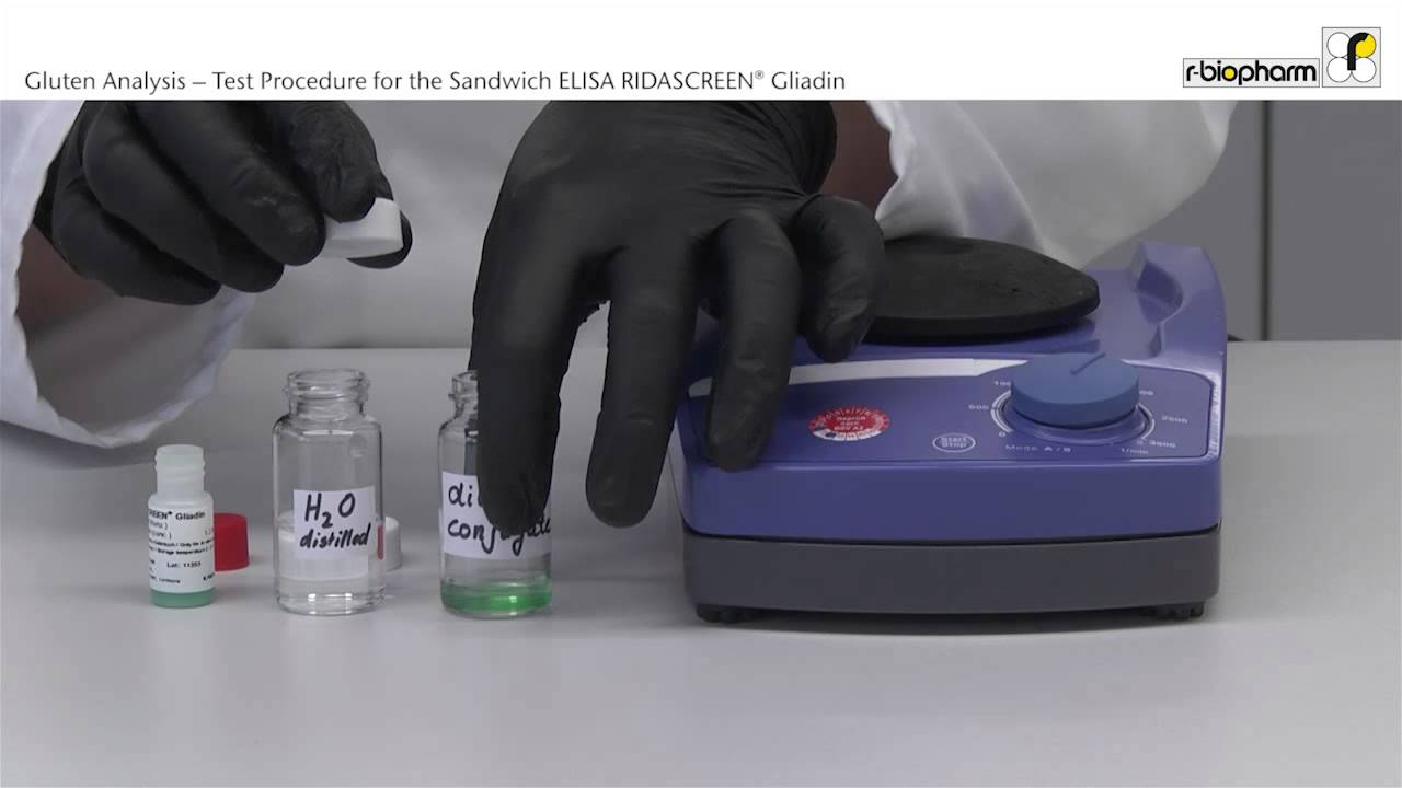 Gluten Analysis   Test Procedure for the Sandwich ELISA RIDASCREEN Gliadin Video 5