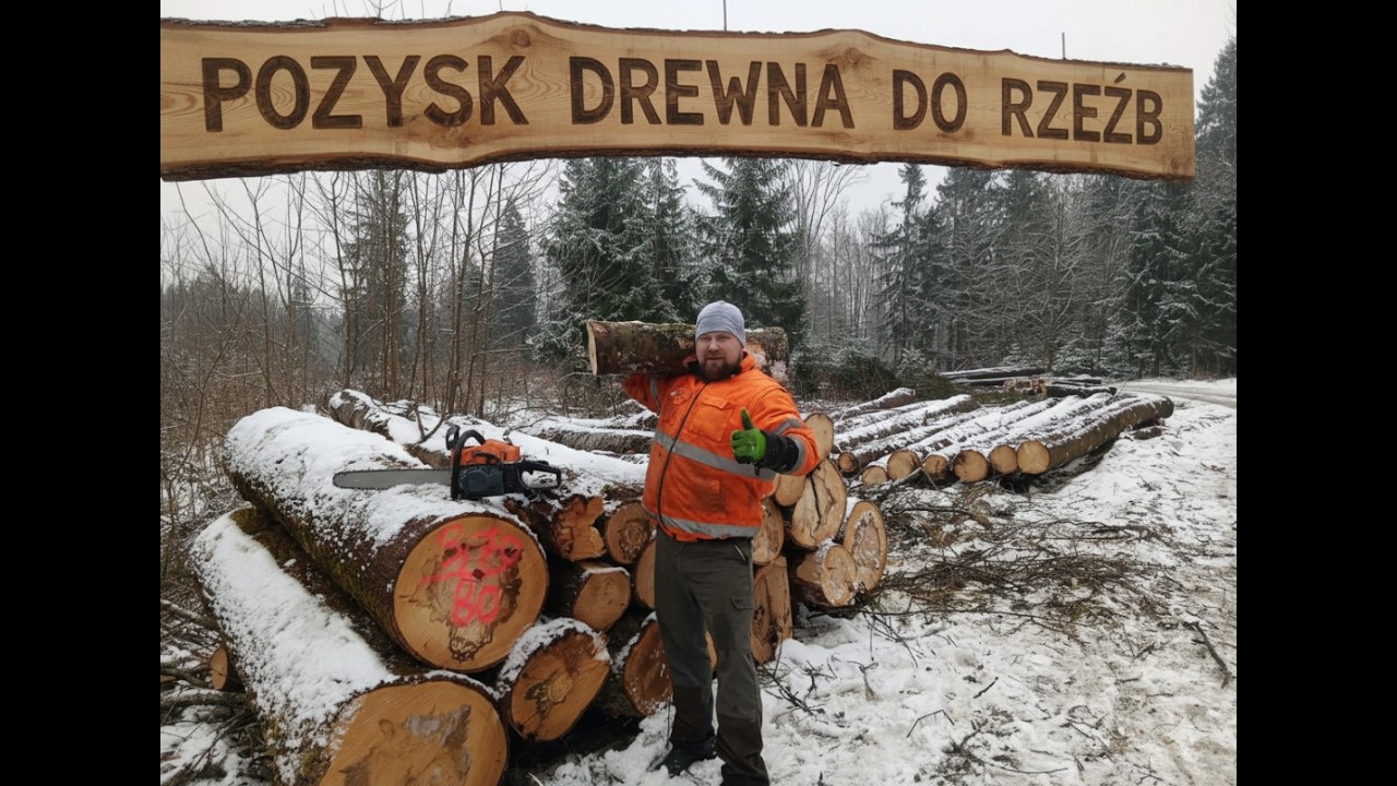 Pozysk drewna do moich rzeźb :)