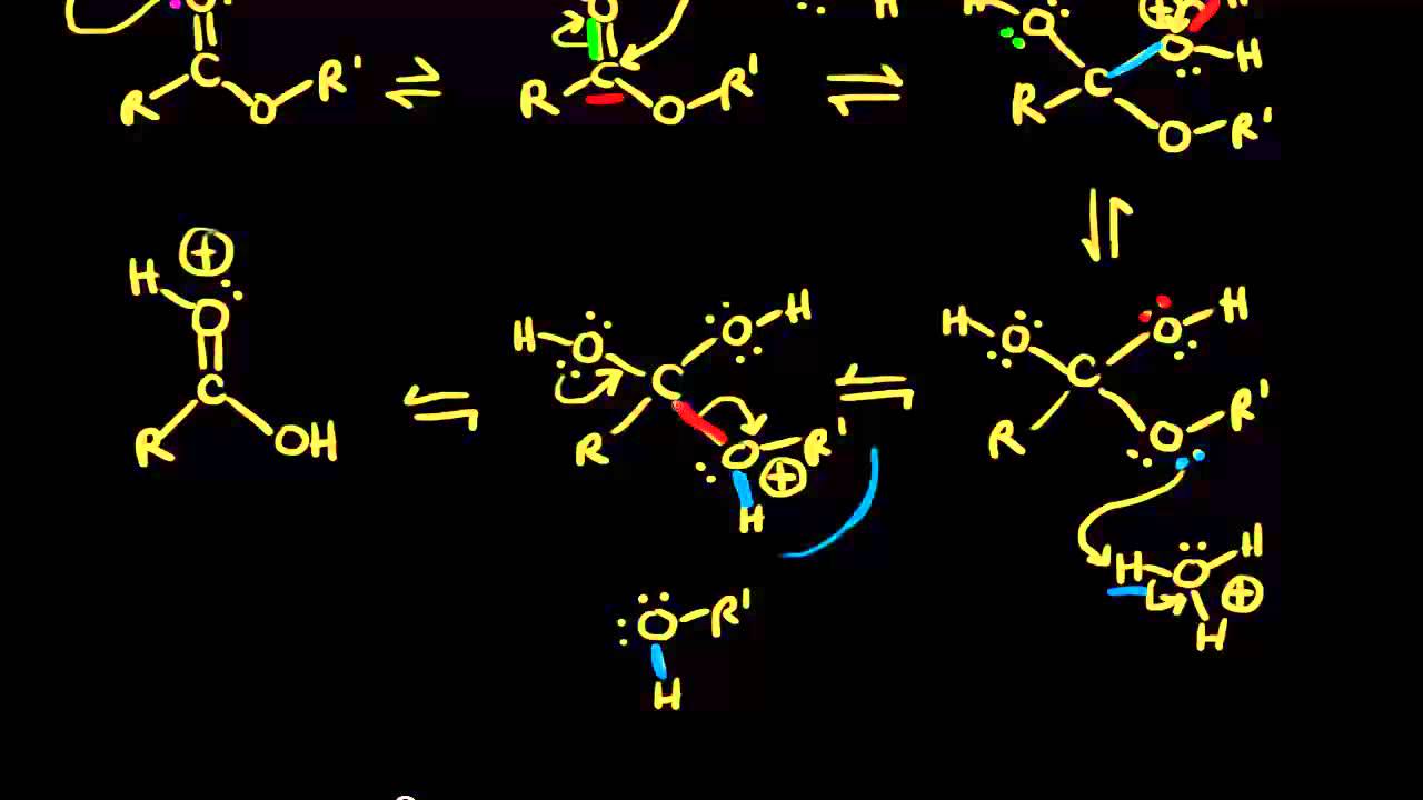 Acid-catalyzed ester hydrolysis | Organic chemistry | Khan Academy