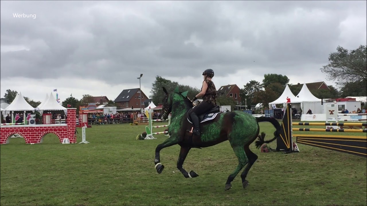 [Impressionen] Reitturnier Norderney 2019