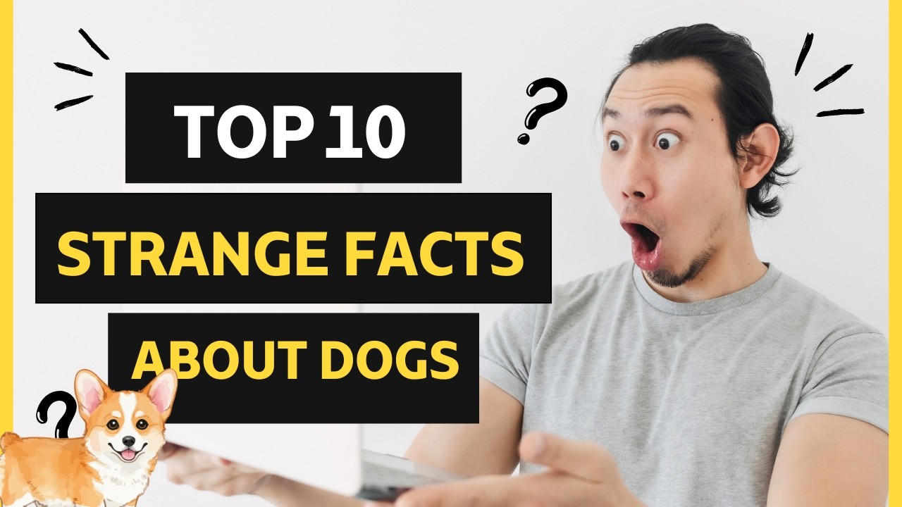 20 STRANGE, REAL FACTS ABOUT DOGS
