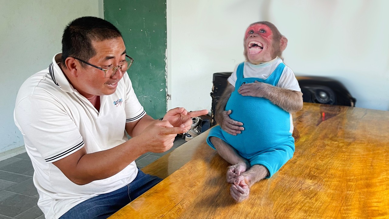 Non Stop Laughs 😂🐒 Su Monkey&rsquo;s Funniest Moments With Dad
