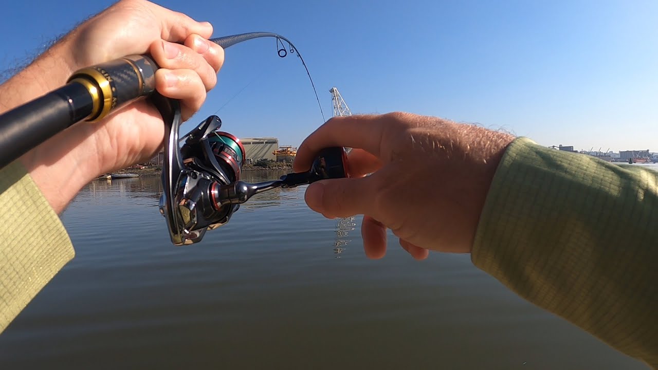 Fishing for KOB in the SILT CANAL, DURBAN HARBOUR. 3 Species caught!!