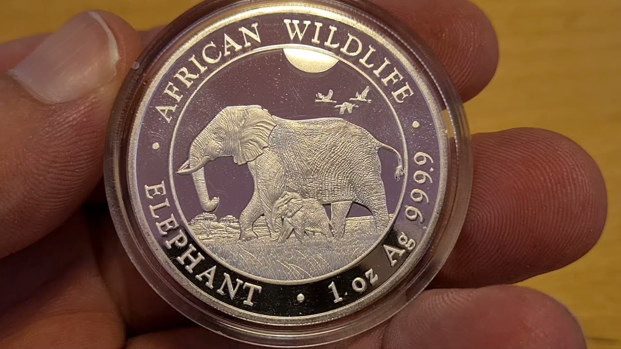 2022 SOMALIAN ELEPHANT 1 OZ 999 SILVER BULLION COIN