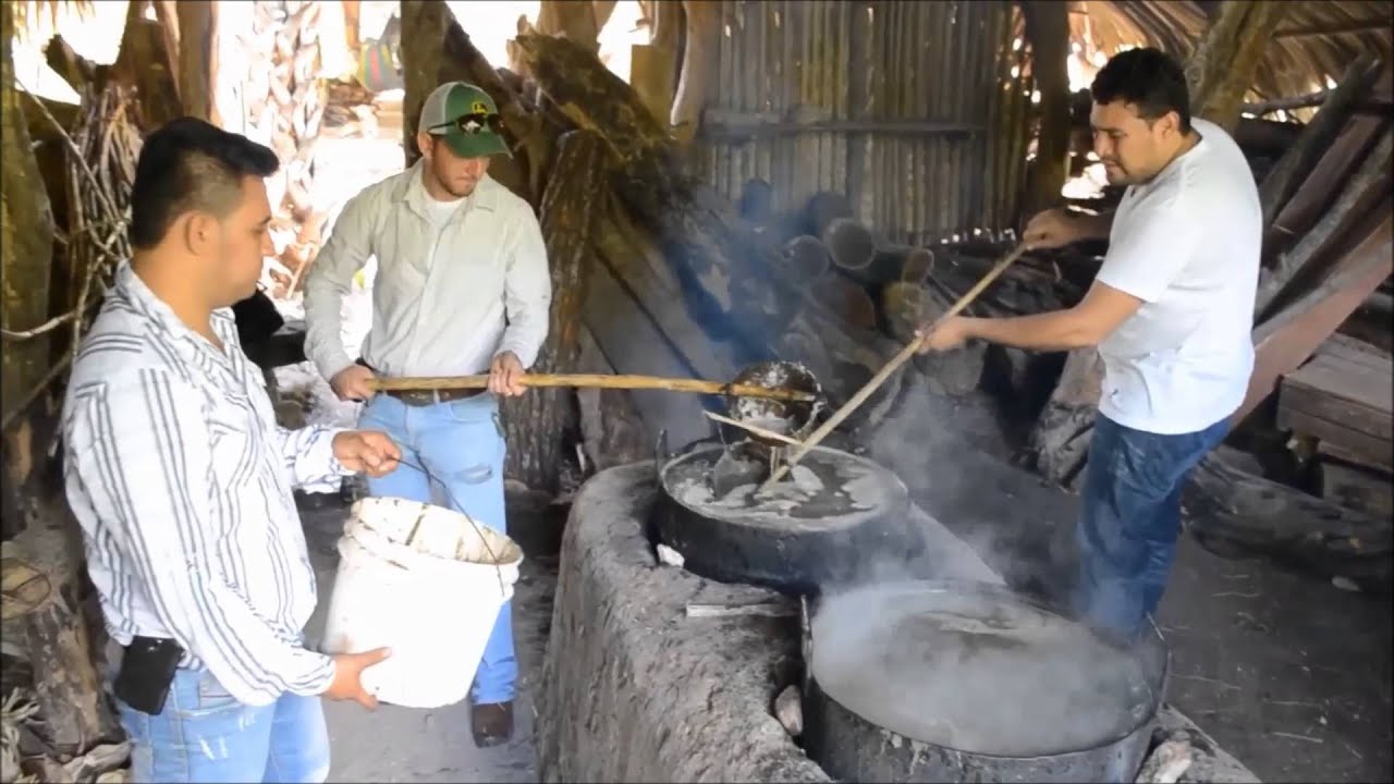 PRODUCCION ARTESANAL DE LA PANELA JOCOTAN
